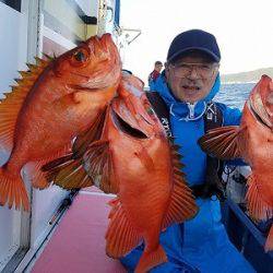 しまや丸 釣果