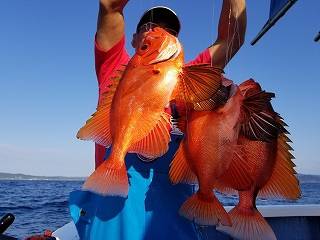 しまや丸 釣果