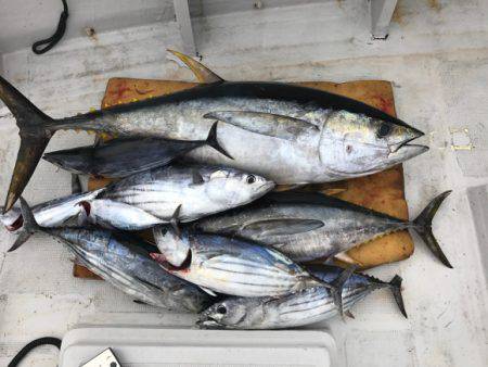 まると屋 釣果