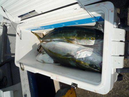 浅間丸 釣果