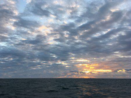 松鶴丸 釣果