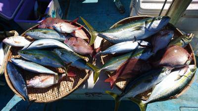 はじめ丸 釣果