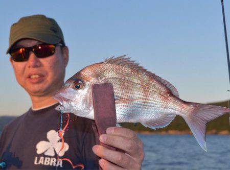 渡船屋たにぐち 釣果