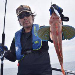 渡船屋たにぐち 釣果