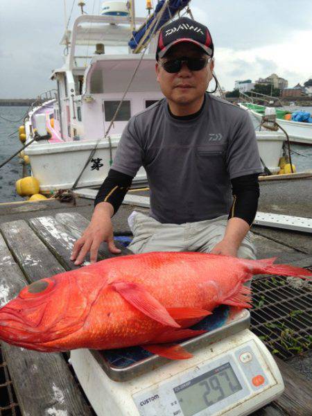 晃山丸 釣果