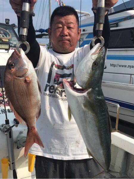 釣鯛洋 釣果