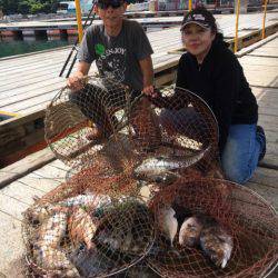 釣り堀水宝 釣果