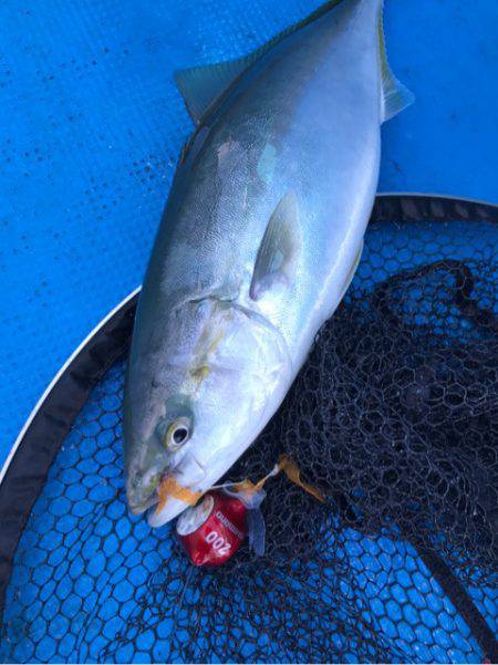 太平丸 釣果