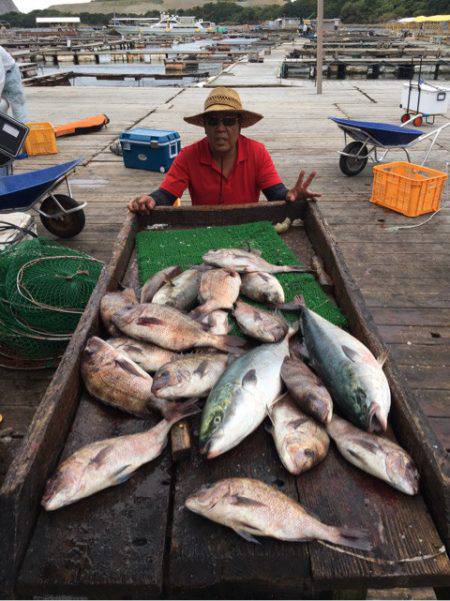 釣り堀水宝 釣果