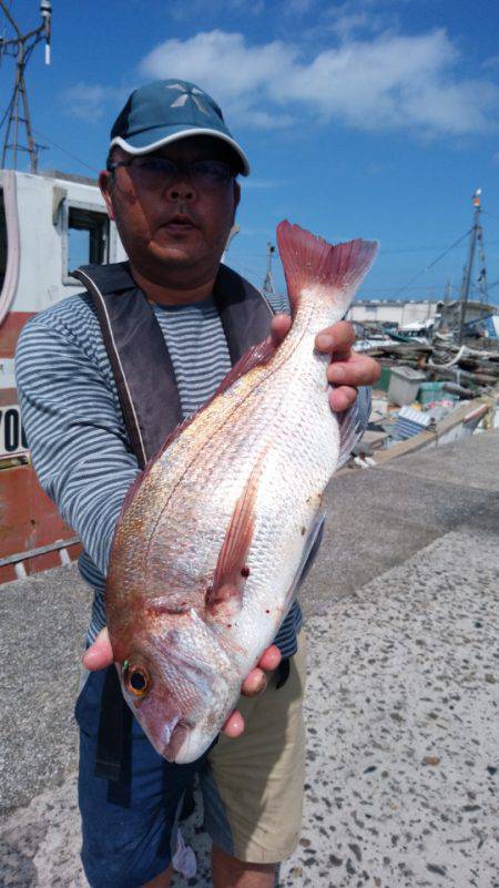 富士丸 釣果