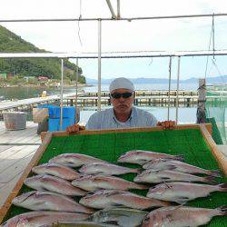 海の釣堀 海恵 釣果