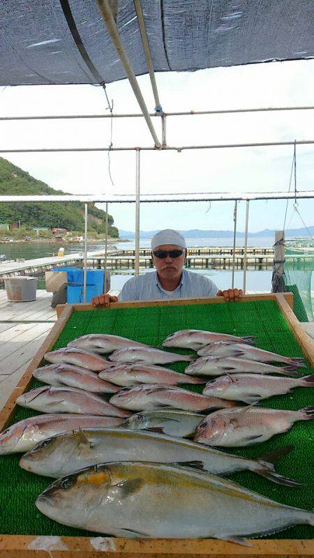 海の釣堀 海恵 釣果