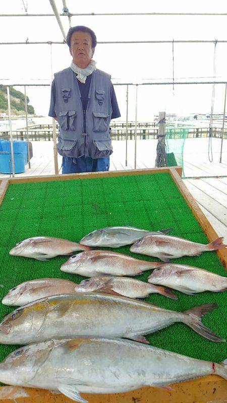 海の釣堀 海恵 釣果