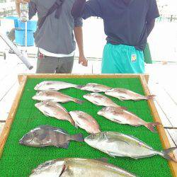 海の釣堀 海恵 釣果