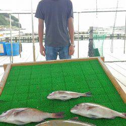 海の釣堀 海恵 釣果