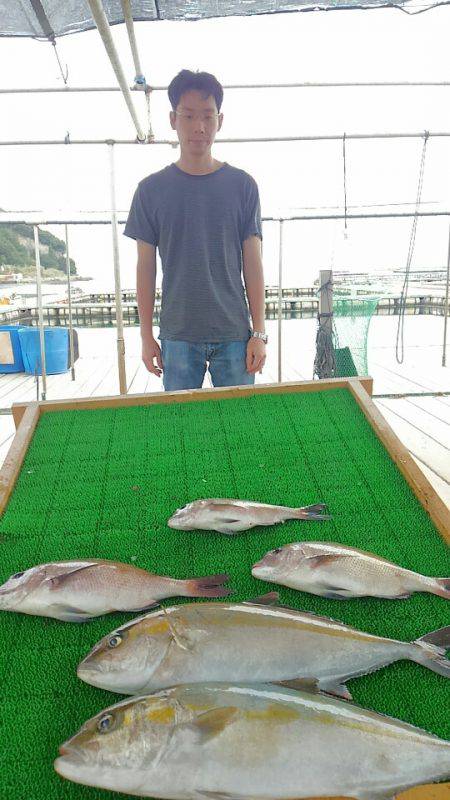 海の釣堀 海恵 釣果