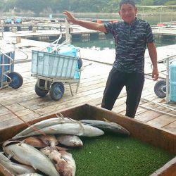 海の釣堀 海恵 釣果