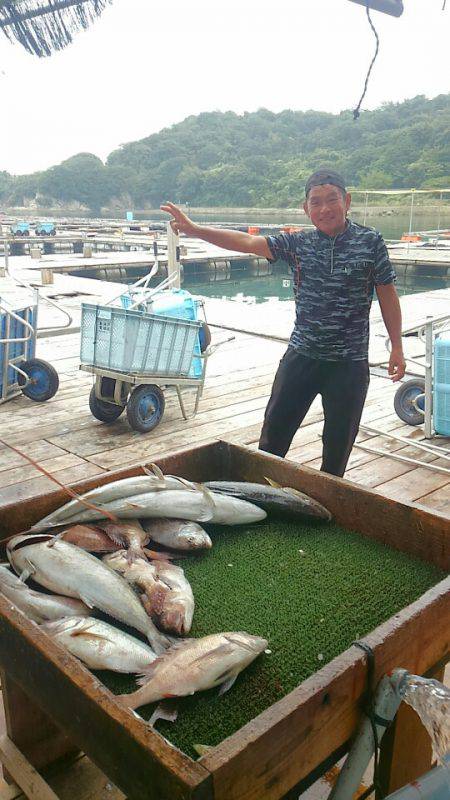 海の釣堀 海恵 釣果