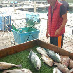 海の釣堀 海恵 釣果