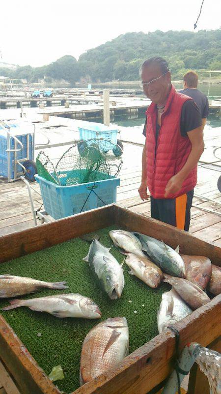 海の釣堀 海恵 釣果