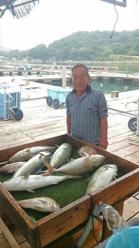 海の釣堀 海恵 釣果