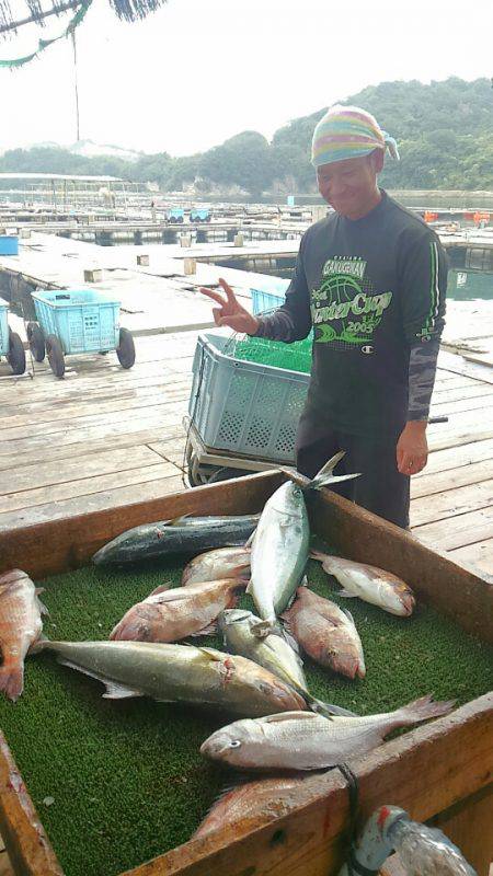 海の釣堀 海恵 釣果