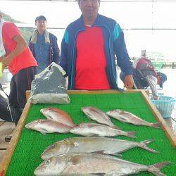 海の釣堀 海恵 釣果