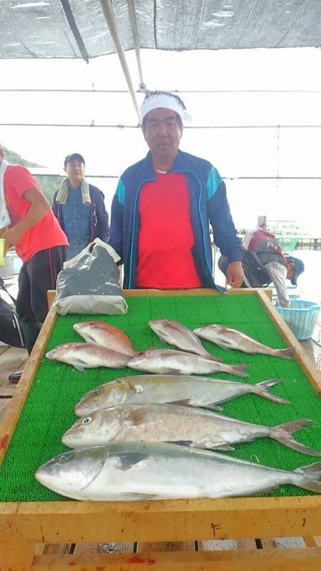 海の釣堀 海恵 釣果