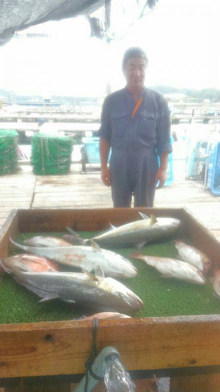 海の釣堀 海恵 釣果