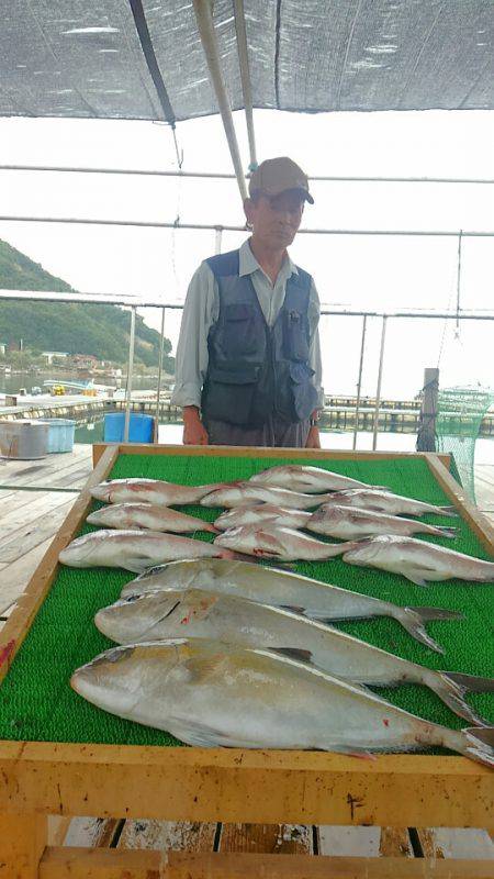 海の釣堀 海恵 釣果