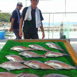 海の釣堀 海恵 釣果