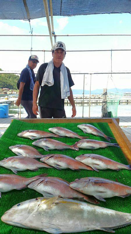 海の釣堀 海恵 釣果