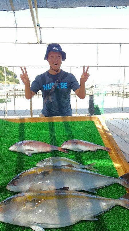 海の釣堀 海恵 釣果