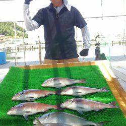 海の釣堀 海恵 釣果