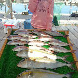 海の釣堀 海恵 釣果