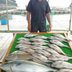 海の釣堀 海恵 釣果