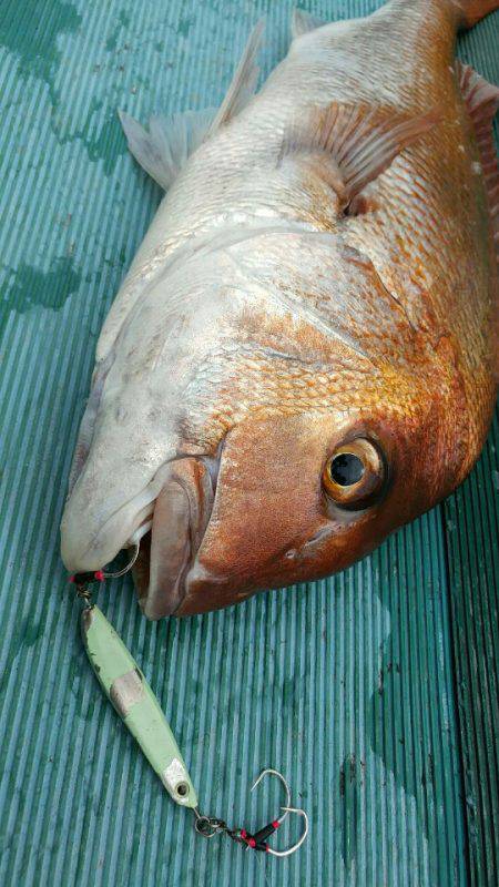 鷹王丸 釣果