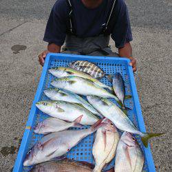 第三共栄丸 釣果