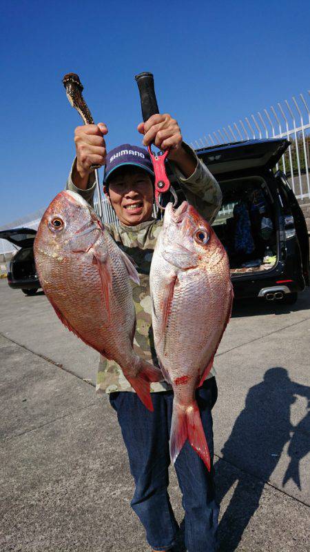 だて丸 釣果