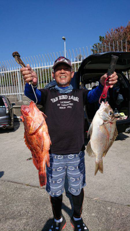 だて丸 釣果