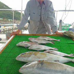 海の釣堀 海恵 釣果