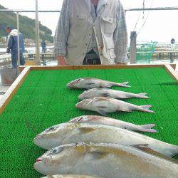 海の釣堀 海恵 釣果