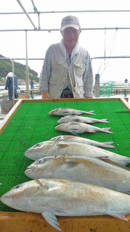 海の釣堀 海恵 釣果