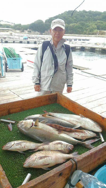 海の釣堀 海恵 釣果