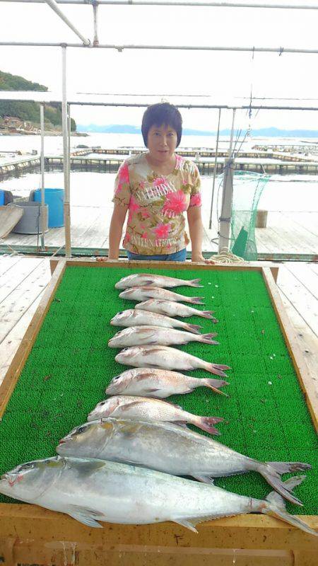 海の釣堀 海恵 釣果