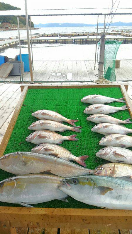 海の釣堀 海恵 釣果