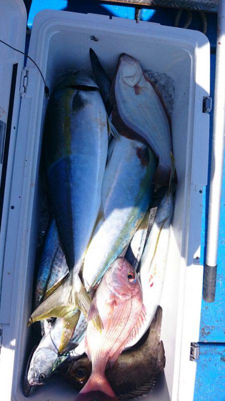 海龍丸（石川） 釣果