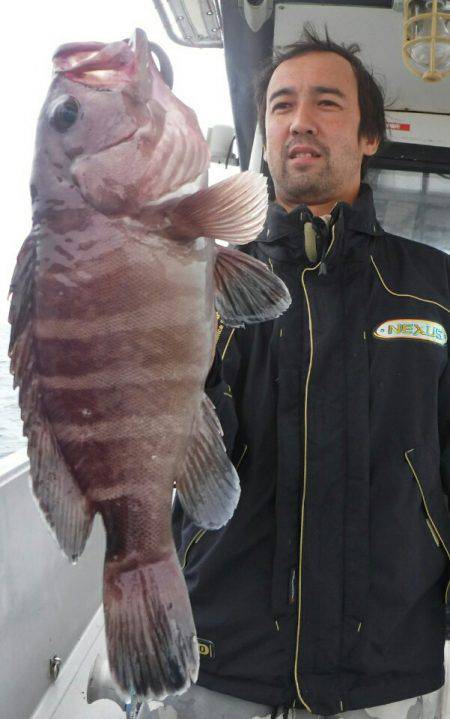 ブルースフィッシングサービス 釣果