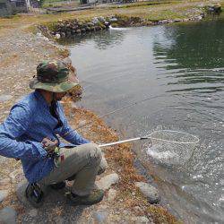 つりぼりあかし 釣果