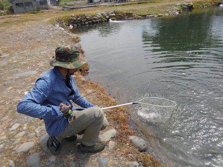 つりぼりあかし 釣果